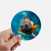 地球生物热带鱼 圆形贴纸10cm摩托电脑贴画旅行箱装饰8片